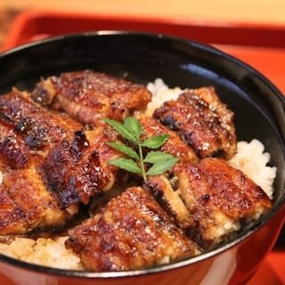 Unagi Don
