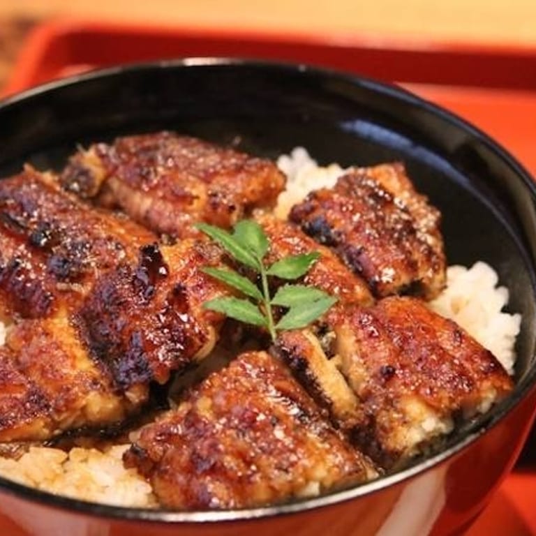Delicious Unagi Dishes